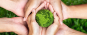 Sustainability reports Sustainability reports
