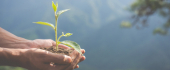Sustainability policies Sustainability policies